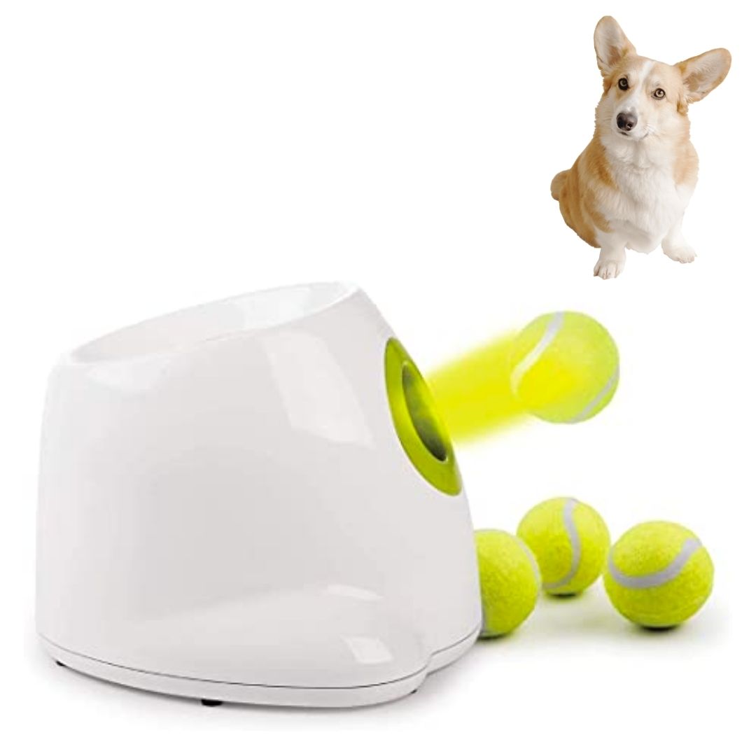 Lanceur de balles pour chien : jouez avec lui sans vous fatiguer