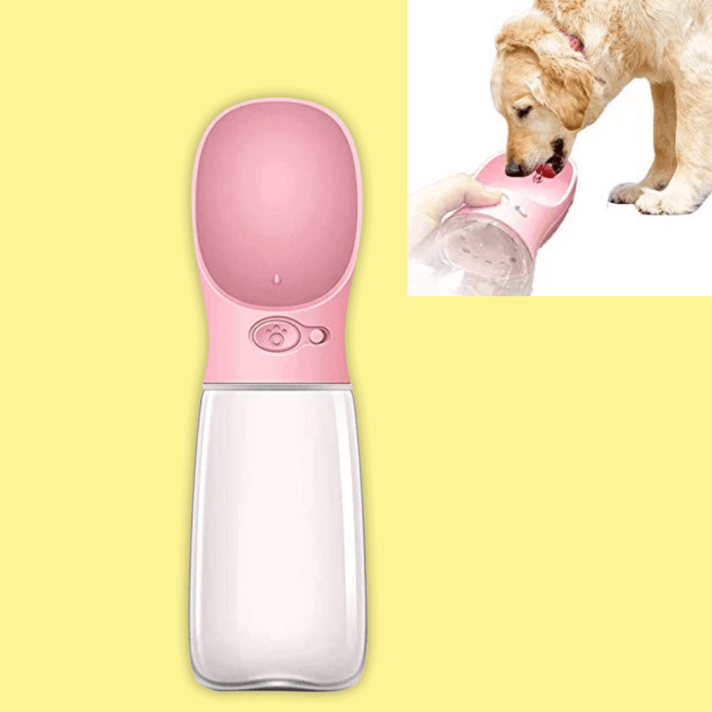 Water Dog™ : Rafraîchissez votre chien en toute circonstance !