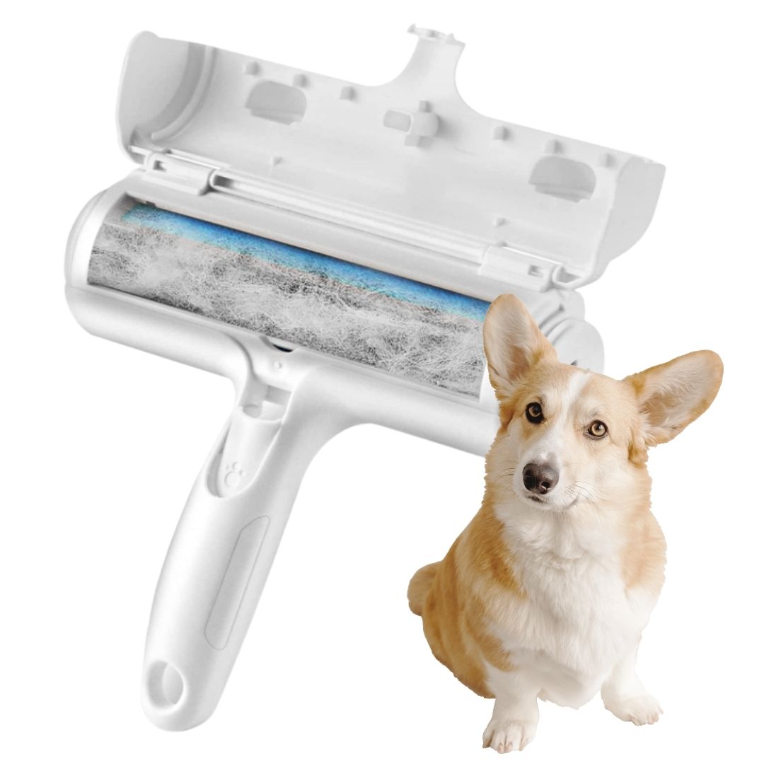 Brosse magique : anti-poils d'animaux