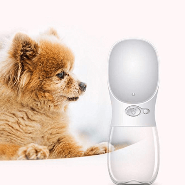 Water Dog™ : Rafraîchissez votre chien en toute circonstance !